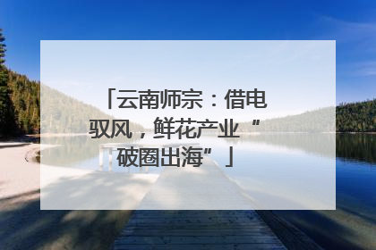 云南师宗：借电驭风，鲜花产业“破圈出海”